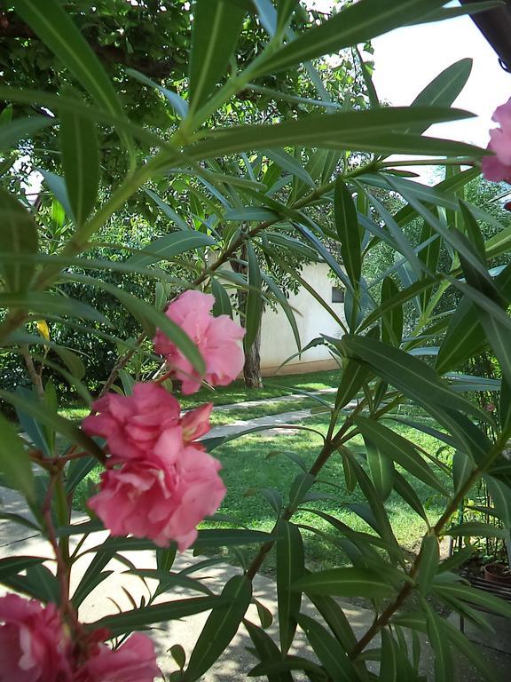 Attila Vendeghaz Apartment Balatonboglar Ngoại thất bức ảnh